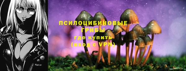 сатива Навашино
