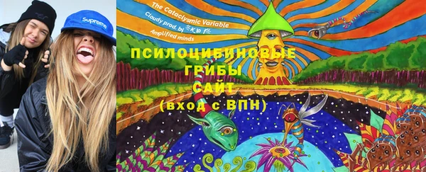 сатива Навашино