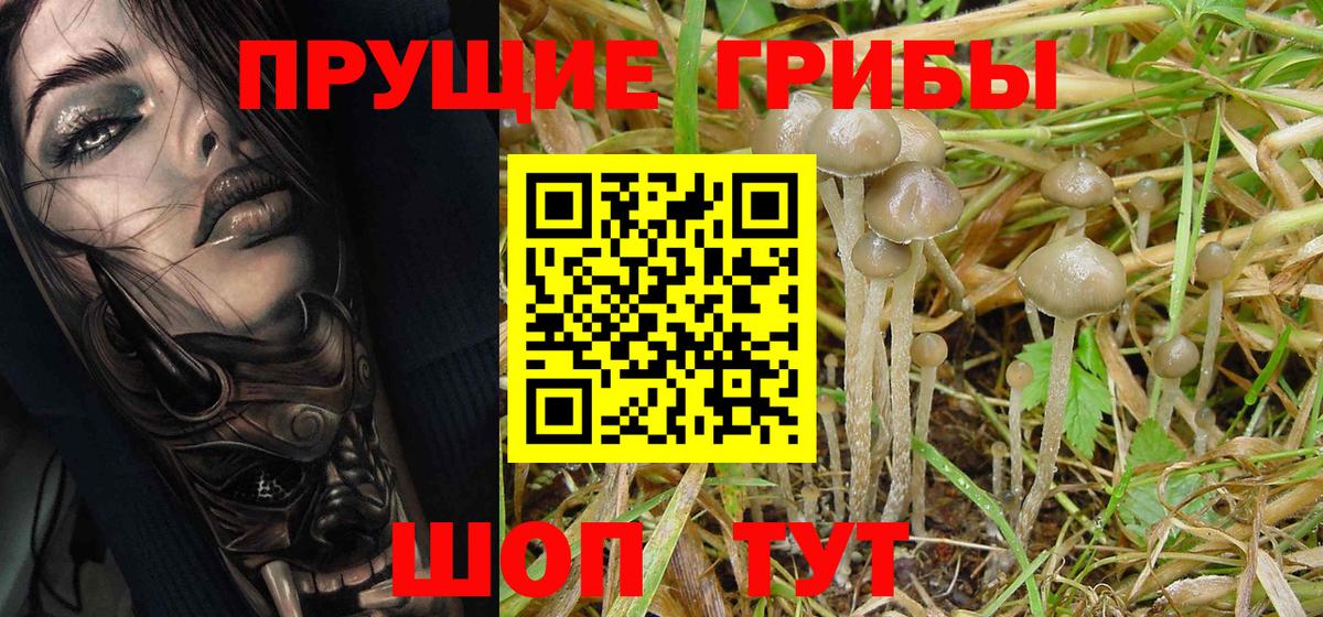 Клин  Галлюциногенные грибы GOLDEN TEACHER  Вход с VPN 