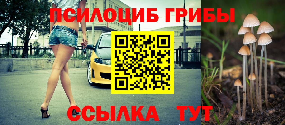 Галлюциногенные грибы Magic Shrooms  Клин  Галлюциногенные грибы MAGIC MUSHROOMS 