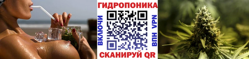сколько стоит  Клин  Марихуана план 